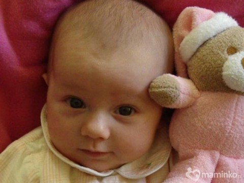 Před narozením vašeho miminka byste měli myslet na spoustu nezbytností, autor: mimishop