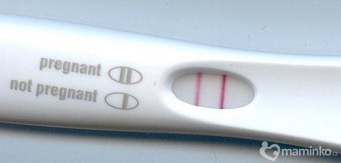Těhotenský test