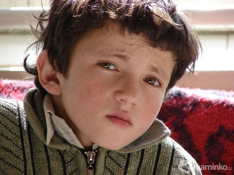 autor: Afghanistan Matters