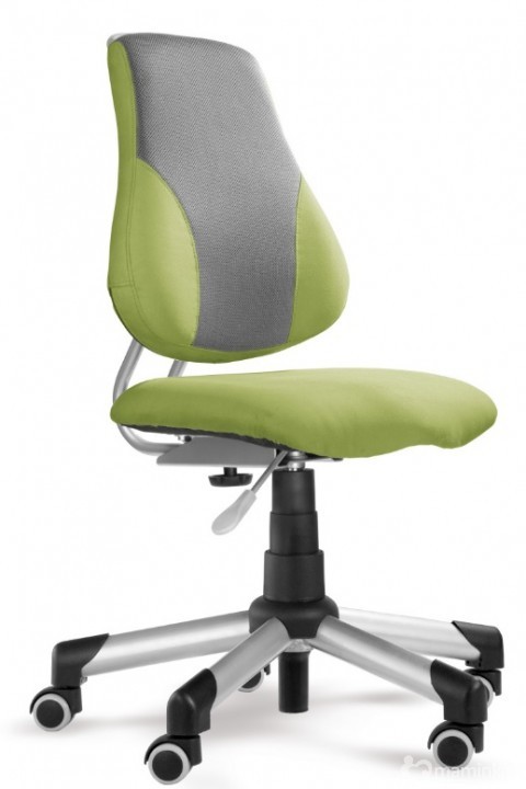Mayer Rostoucí židle Actikid A2 – Aquaclean zelená + šedá síťovina