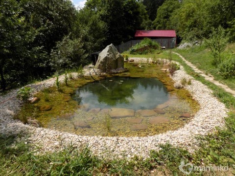 Jezírka, ať už okrasná, či koupací, připravte na teploty pod bodem mrazu